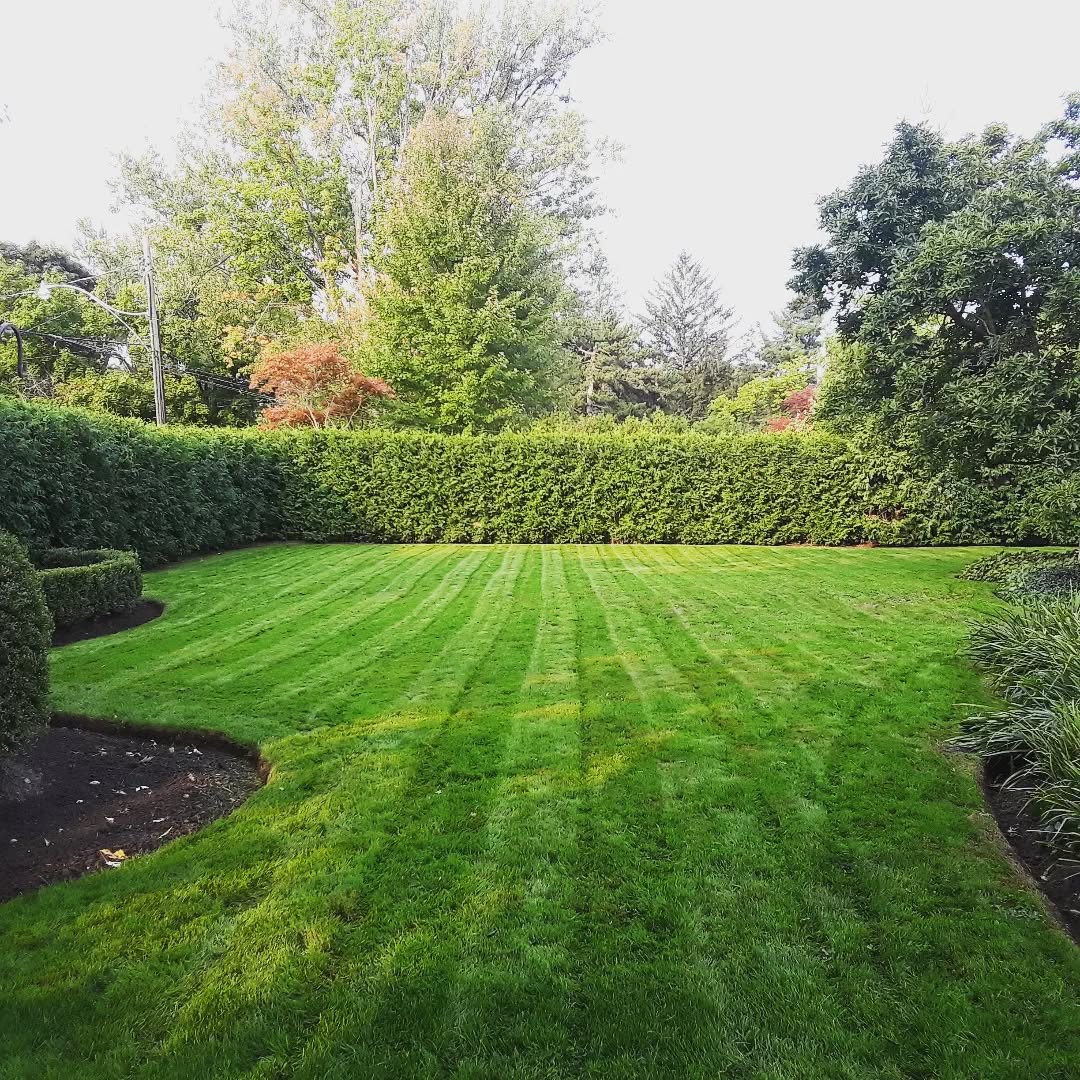 Backyard Transformation