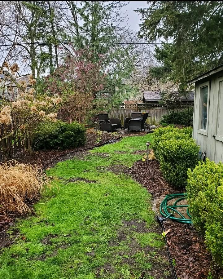 Retaining Wall & Steps